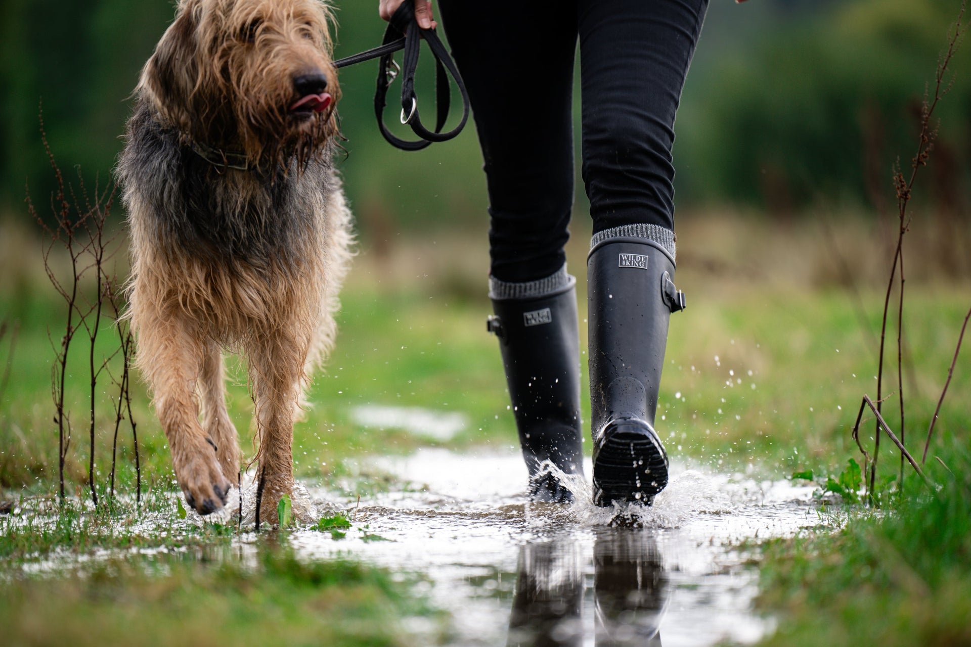 Walking through puddles