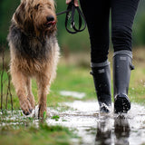 Wilde & King - Womens Netherfield Wellingtons (Black)