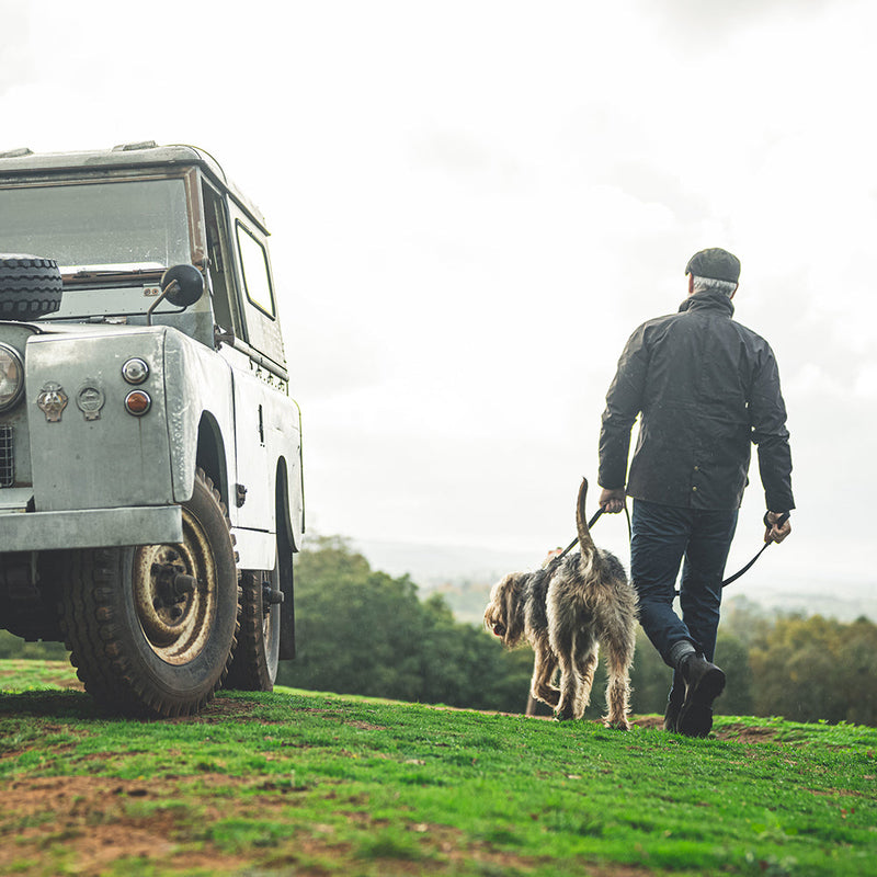 Land rover barbour dog online